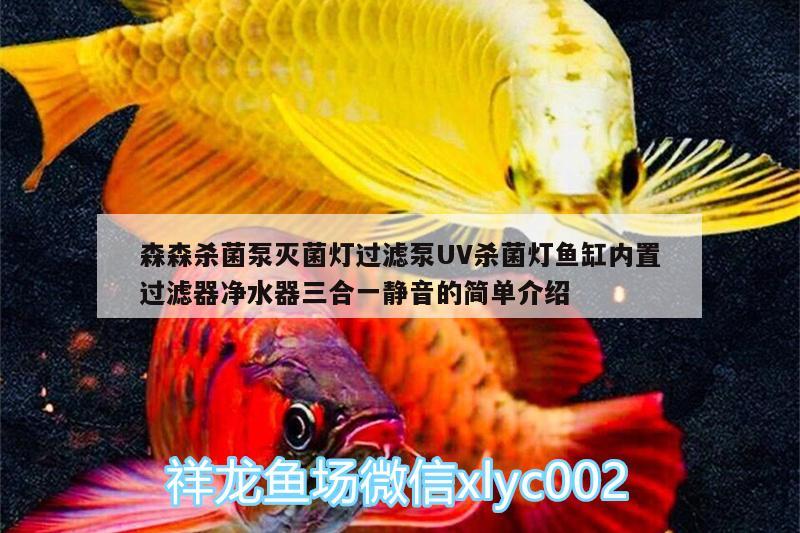 森森殺菌泵滅菌燈過(guò)濾泵UV殺菌燈魚(yú)缸內(nèi)置過(guò)濾器凈水器三合一靜音的簡(jiǎn)單介紹