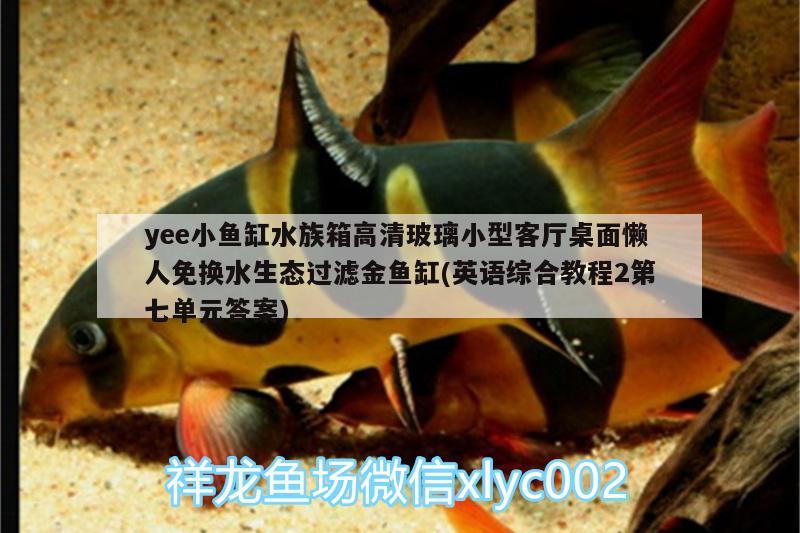 yee小魚(yú)缸水族箱高清玻璃小型客廳桌面懶人免換水生態(tài)過(guò)濾金魚(yú)缸(英語(yǔ)綜合教程2第七單元答案)