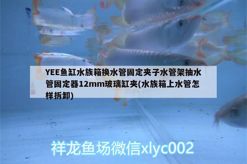 YEE魚缸水族箱換水管固定夾子水管架抽水管固定器12mm玻璃缸夾(水族箱上水管怎樣拆卸) yee