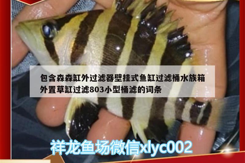 包含森森缸外過濾器壁掛式魚缸過濾桶水族箱外置草缸過濾803小型桶濾的詞條