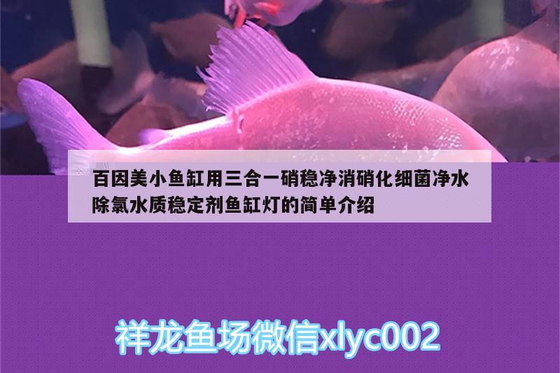 百因美小魚缸用三合一硝穩(wěn)凈消硝化細(xì)菌凈水除氯水質(zhì)穩(wěn)定劑魚缸燈的簡單介紹 硝化細(xì)菌