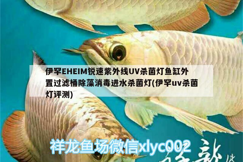 伊罕EHEIM銳速紫外線UV殺菌燈魚缸外置過濾桶除藻消毒進水殺菌燈(伊罕uv殺菌燈評測) 伊罕水族