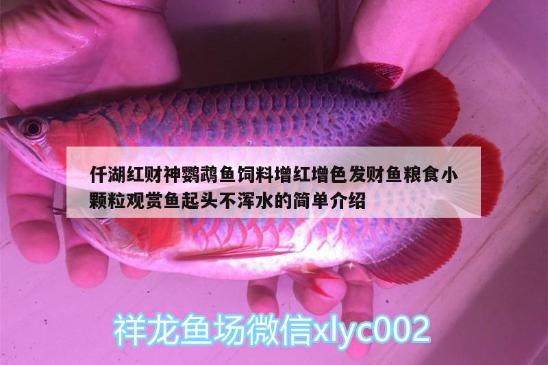 仟湖紅財(cái)神鸚鵡魚飼料增紅增色發(fā)財(cái)魚糧食小顆粒觀賞魚起頭不渾水的簡單介紹