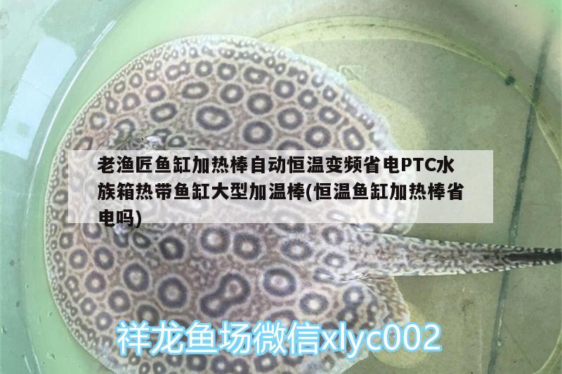 老漁匠魚缸加熱棒自動恒溫變頻省電PTC水族箱熱帶魚缸大型加溫棒(恒溫魚缸加熱棒省電嗎)