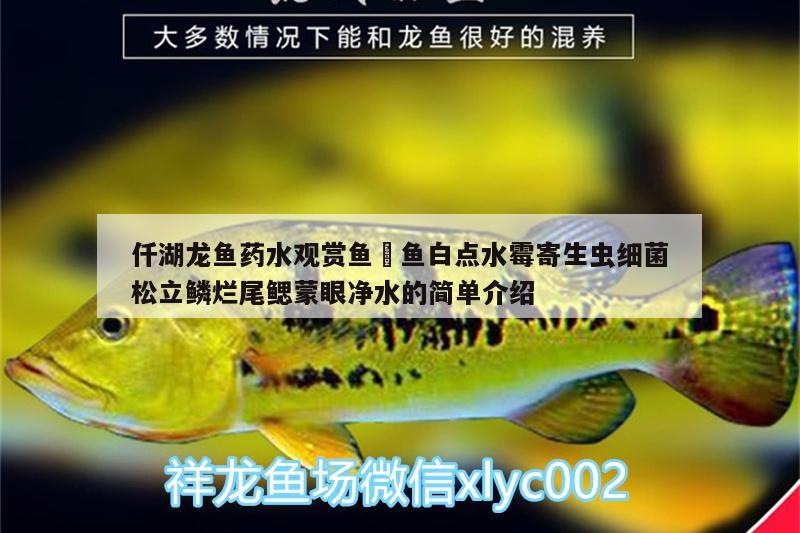 仟湖龍魚(yú)藥水觀賞魚(yú)魟魚(yú)白點(diǎn)水霉寄生蟲(chóng)細(xì)菌松立鱗爛尾鰓蒙眼凈水的簡(jiǎn)單介紹