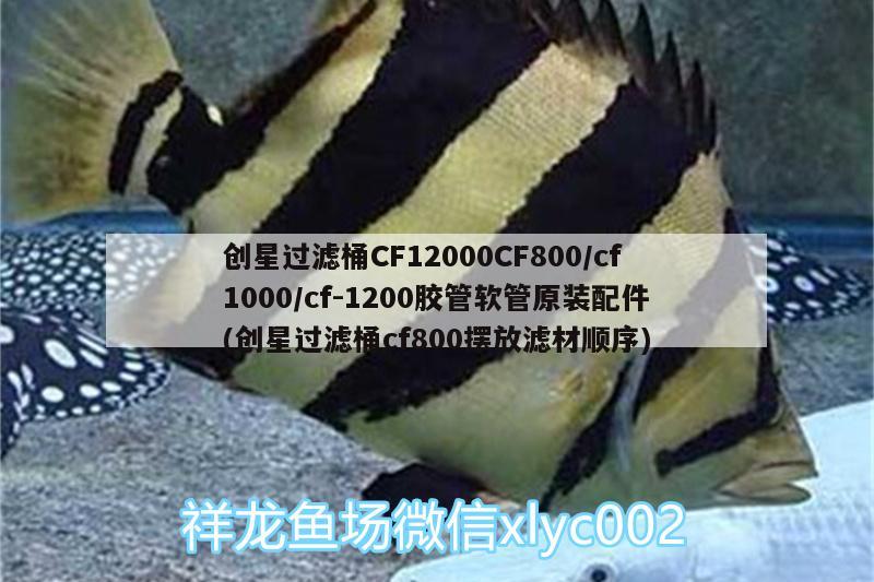 創(chuàng)星過濾桶CF12000CF800/cf1000/cf-1200膠管軟管原裝配件(創(chuàng)星過濾桶cf800擺放濾材順序) 廣州水族器材濾材批發(fā)市場