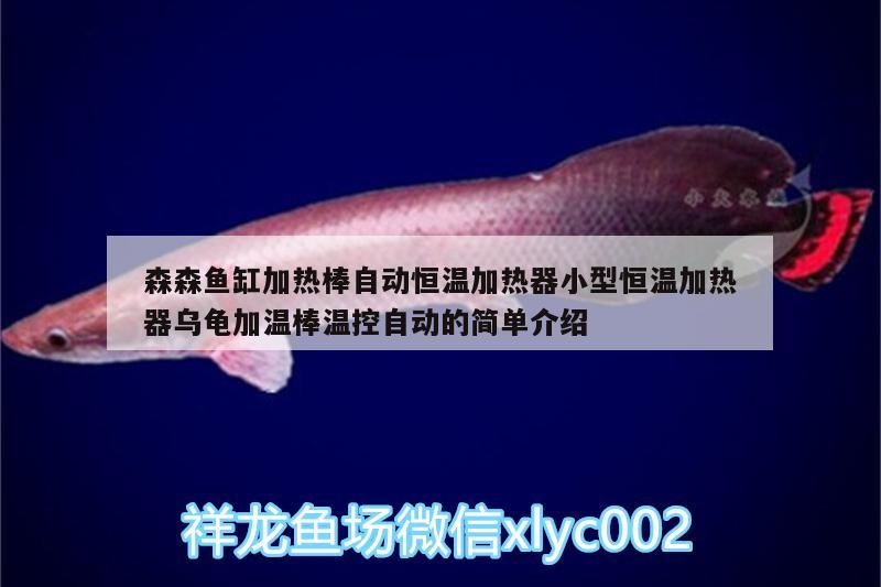 森森魚缸加熱棒自動恒溫加熱器小型恒溫加熱器烏龜加溫棒溫控自動的簡單介紹 烏龜