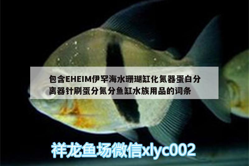 包含EHEIM伊罕海水珊瑚缸化氮器蛋白分離器針?biāo)⒌胺值拄~(yú)缸水族用品的詞條