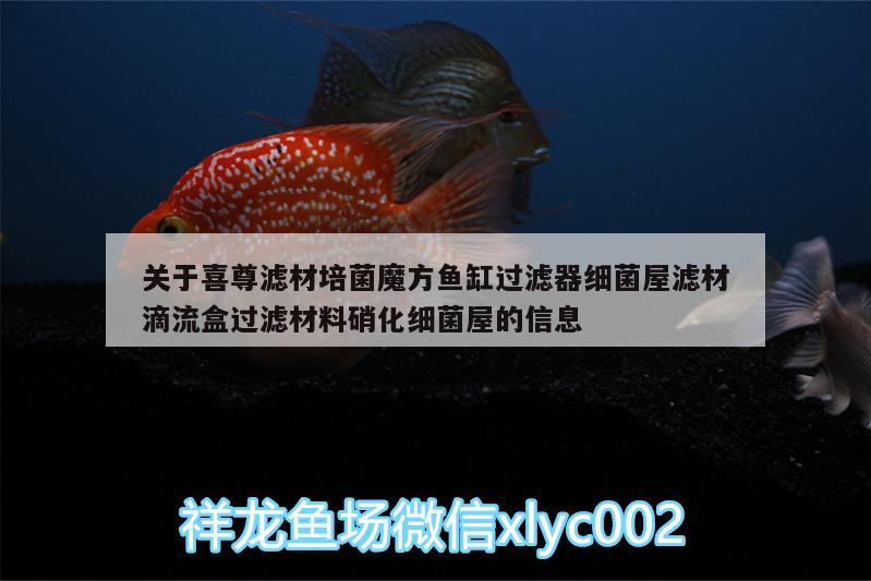 關(guān)于喜尊濾材培菌魔方魚缸過濾器細菌屋濾材滴流盒過濾材料硝化細菌屋的信息 硝化細菌