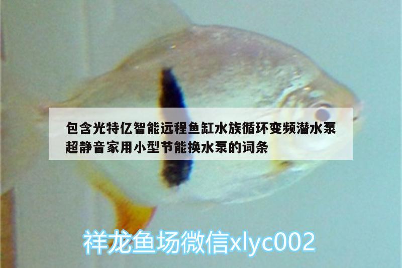 包含光特億智能遠(yuǎn)程魚缸水族循環(huán)變頻潛水泵超靜音家用小型節(jié)能換水泵的詞條 光特億