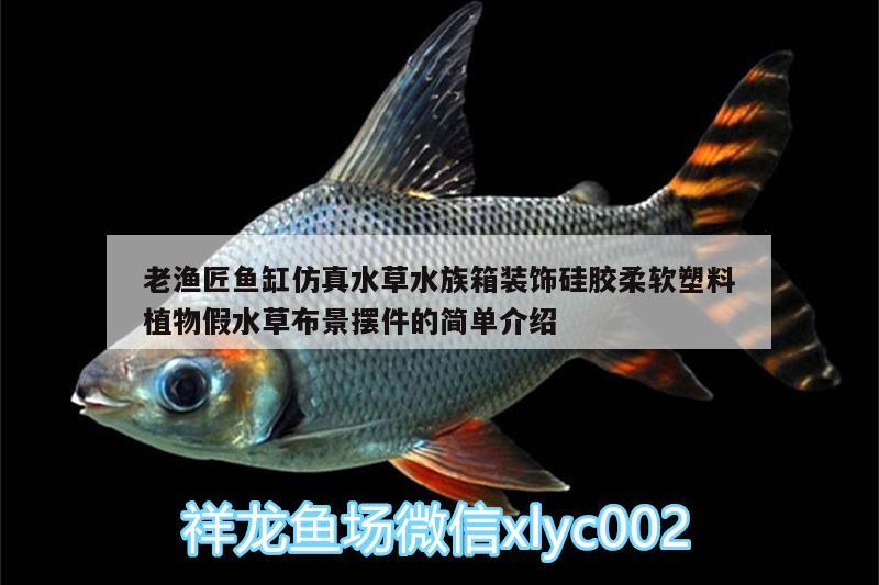 老漁匠魚缸仿真水草水族箱裝飾硅膠柔軟塑料植物假水草布景擺件的簡單介紹 魚缸/水族箱