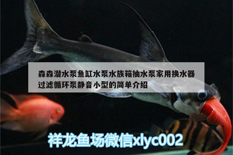 森森潛水泵魚缸水泵水族箱抽水泵家用換水器過濾循環(huán)泵靜音小型的簡單介紹