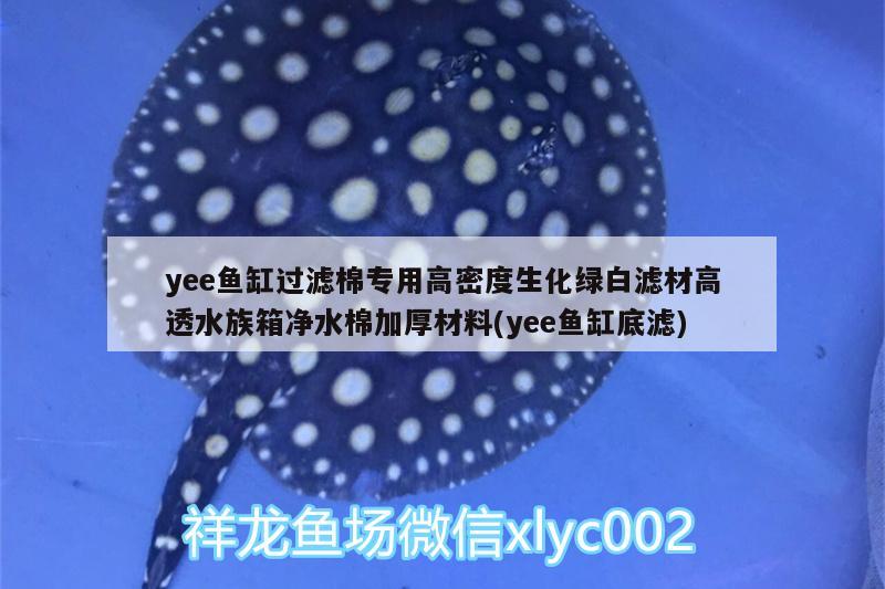 yee魚缸過(guò)濾棉專用高密度生化綠白濾材高透水族箱凈水棉加厚材料(yee魚缸底濾) yee