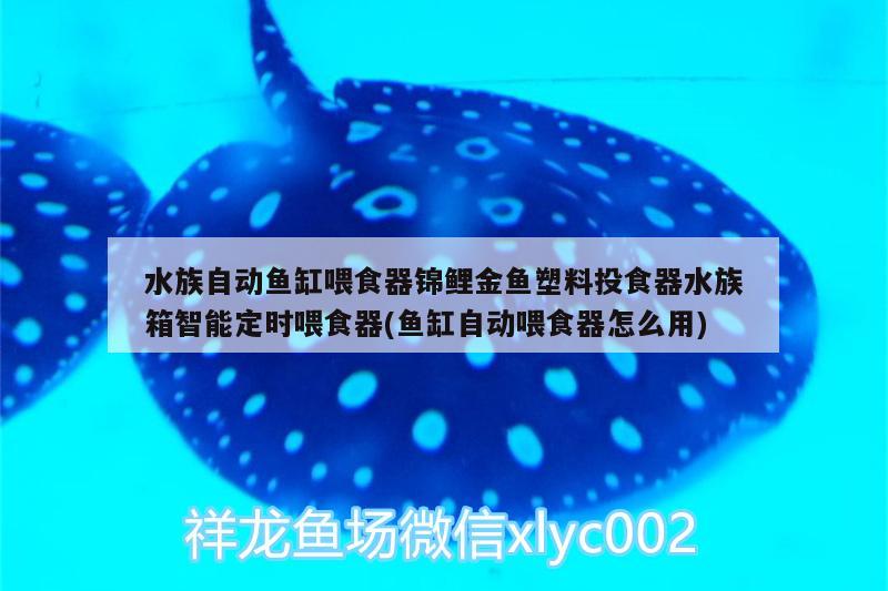 水族自動魚缸喂食器錦鯉金魚塑料投食器水族箱智能定時喂食器(魚缸自動喂食器怎么用)