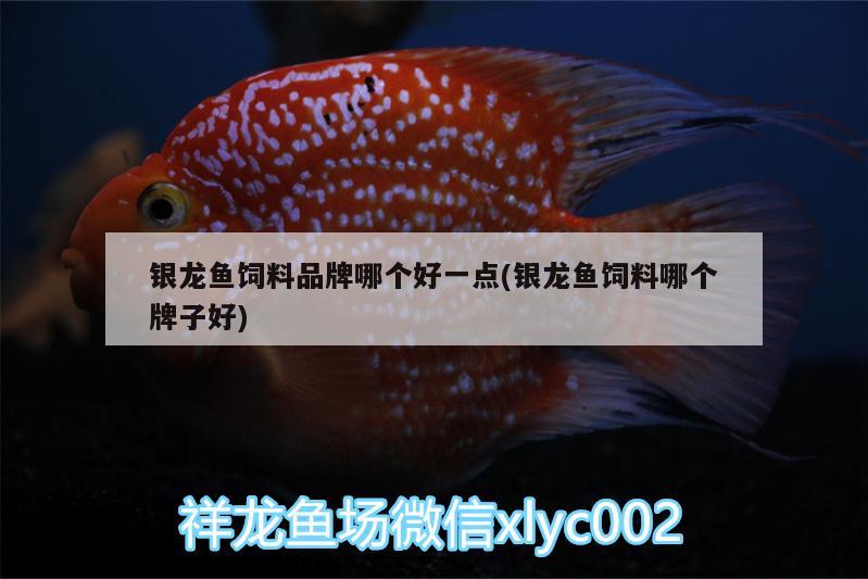 銀龍魚飼料品牌哪個好一點(銀龍魚飼料哪個牌子好)