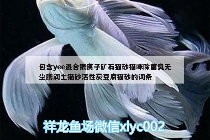 包含yee混合銀離子礦石貓砂貓咪除菌臭無塵膨潤土貓砂活性炭豆腐貓砂的詞條