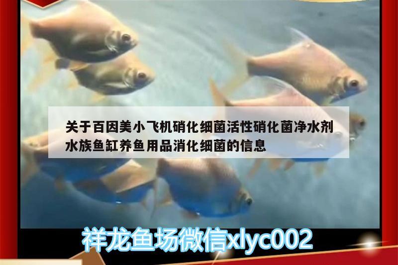 關(guān)于百因美小飛機硝化細(xì)菌活性硝化菌凈水劑水族魚缸養(yǎng)魚用品消化細(xì)菌的信息