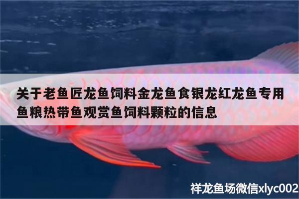 關(guān)于老魚匠龍魚飼料金龍魚食銀龍紅龍魚專用魚糧熱帶魚觀賞魚飼料顆粒的信息 老魚匠