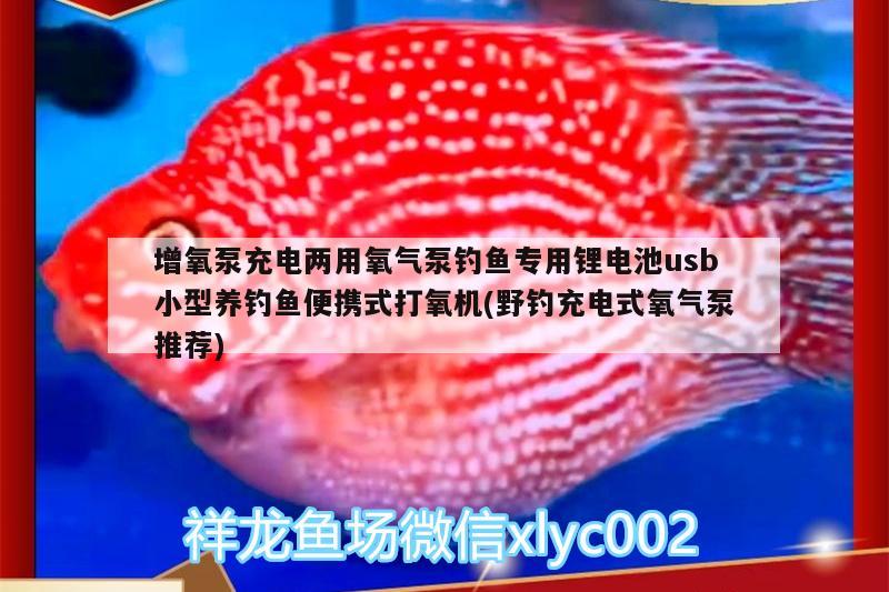 增氧泵充電兩用氧氣泵釣魚(yú)專用鋰電池usb小型養(yǎng)釣魚(yú)便攜式打氧機(jī)(野釣充電式氧氣泵推薦)