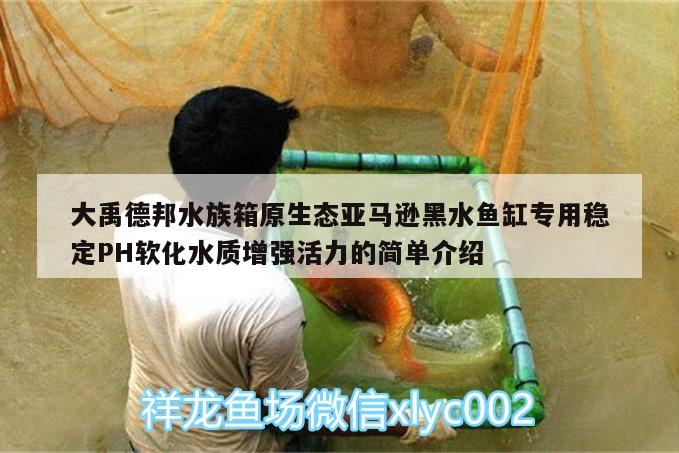 大禹德邦水族箱原生態(tài)亞馬遜黑水魚缸專用穩(wěn)定PH軟化水質增強活力的簡單介紹