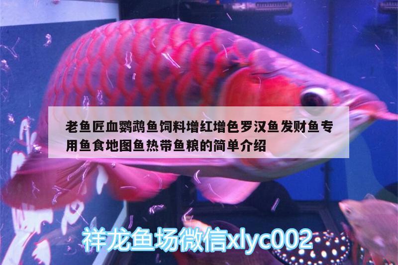 老魚匠血鸚鵡魚飼料增紅增色羅漢魚發(fā)財(cái)魚專用魚食地圖魚熱帶魚糧的簡(jiǎn)單介紹 鸚鵡魚