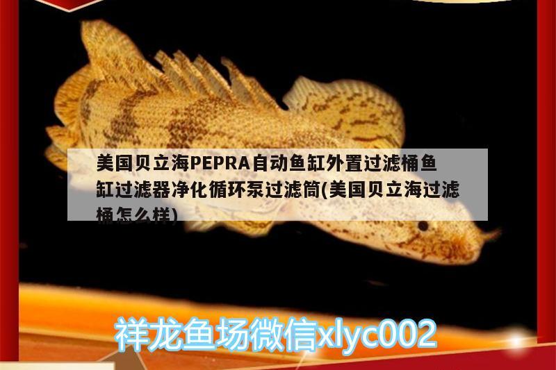 美國貝立海PEPRA自動(dòng)魚缸外置過濾桶魚缸過濾器凈化循環(huán)泵過濾筒(美國貝立海過濾桶怎么樣) 垂釣樂園