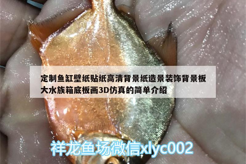 定制魚缸壁紙貼紙高清背景紙?jiān)炀把b飾背景板大水族箱底板畫3D仿真的簡(jiǎn)單介紹 魚缸/水族箱