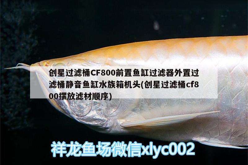 創(chuàng)星過(guò)濾桶CF800前置魚(yú)缸過(guò)濾器外置過(guò)濾桶靜音魚(yú)缸水族箱機(jī)頭(創(chuàng)星過(guò)濾桶cf800擺放濾材順序) 魚(yú)缸/水族箱