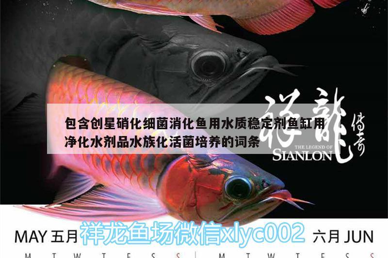 包含創(chuàng)星硝化細(xì)菌消化魚用水質(zhì)穩(wěn)定劑魚缸用凈化水劑品水族化活菌培養(yǎng)的詞條