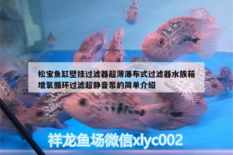 松寶魚缸壁掛過濾器超薄瀑布式過濾器水族箱增氧循環(huán)過濾超靜音泵的簡單介紹