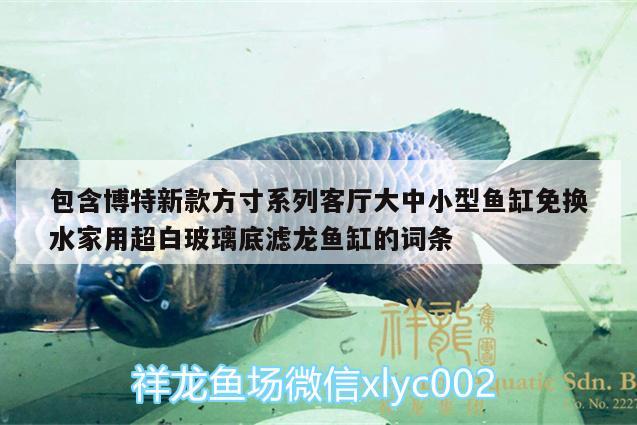 包含博特新款方寸系列客廳大中小型魚(yú)缸免換水家用超白玻璃底濾龍魚(yú)缸的詞條