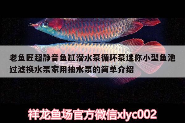 老魚匠超靜音魚缸潛水泵循環(huán)泵迷你小型魚池過濾換水泵家用抽水泵的簡單介紹