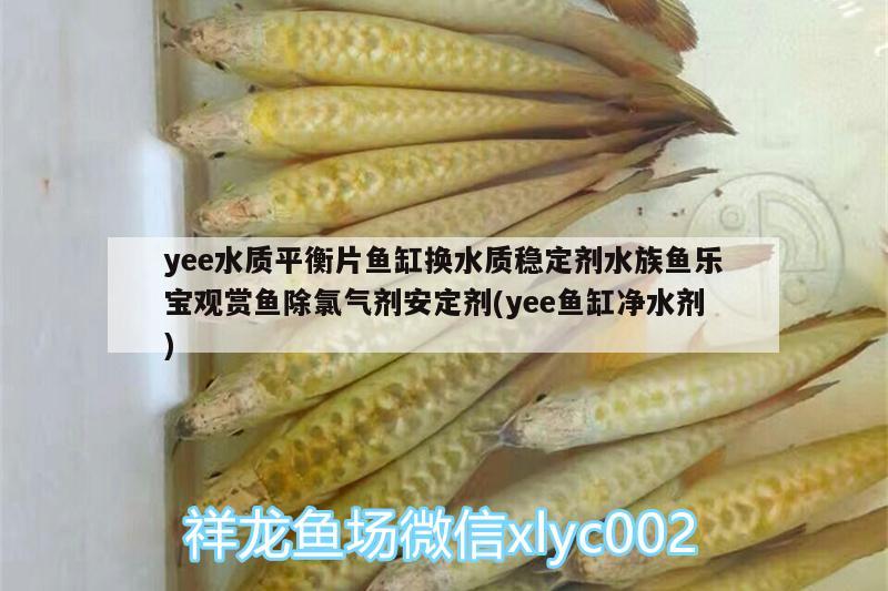 yee水質(zhì)平衡片魚缸換水質(zhì)穩(wěn)定劑水族魚樂(lè)寶觀賞魚除氯氣劑安定劑(yee魚缸凈水劑) yee