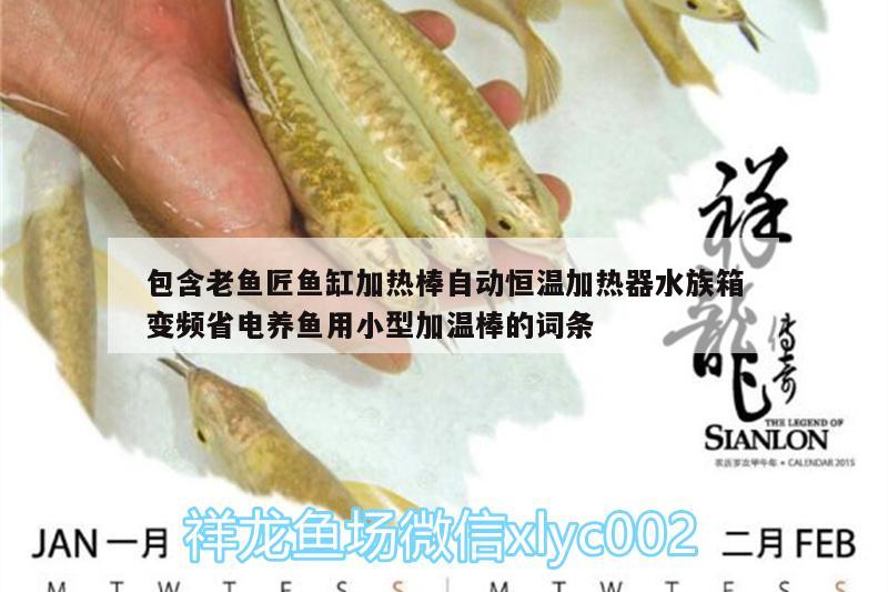 包含老魚匠魚缸加熱棒自動恒溫加熱器水族箱變頻省電養(yǎng)魚用小型加溫棒的詞條 老魚匠