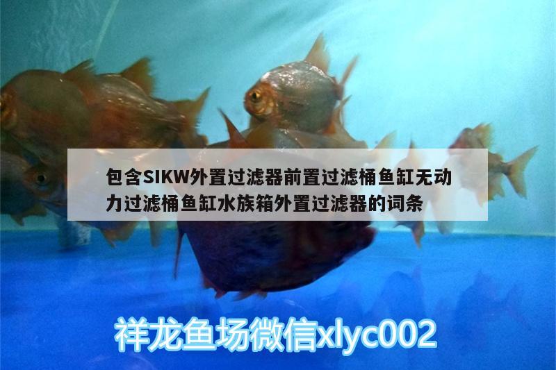 包含SIKW外置過濾器前置過濾桶魚缸無動力過濾桶魚缸水族箱外置過濾器的詞條