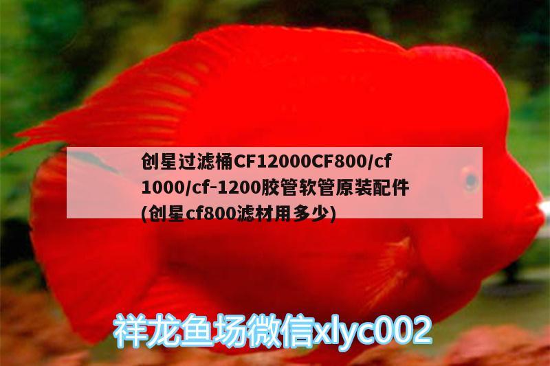 創(chuàng)星過濾桶CF12000CF800/cf1000/cf-1200膠管軟管原裝配件(創(chuàng)星cf800濾材用多少) 廣州水族器材濾材批發(fā)市場