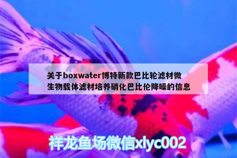 關(guān)于boxwater博特新款巴比輪濾材微生物載體濾材培養(yǎng)硝化巴比倫降噪的信息