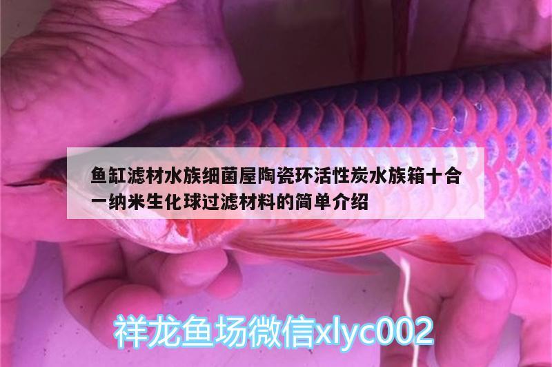 魚缸濾材水族細(xì)菌屋陶瓷環(huán)活性炭水族箱十合一納米生化球過濾材料的簡單介紹 魚缸/水族箱