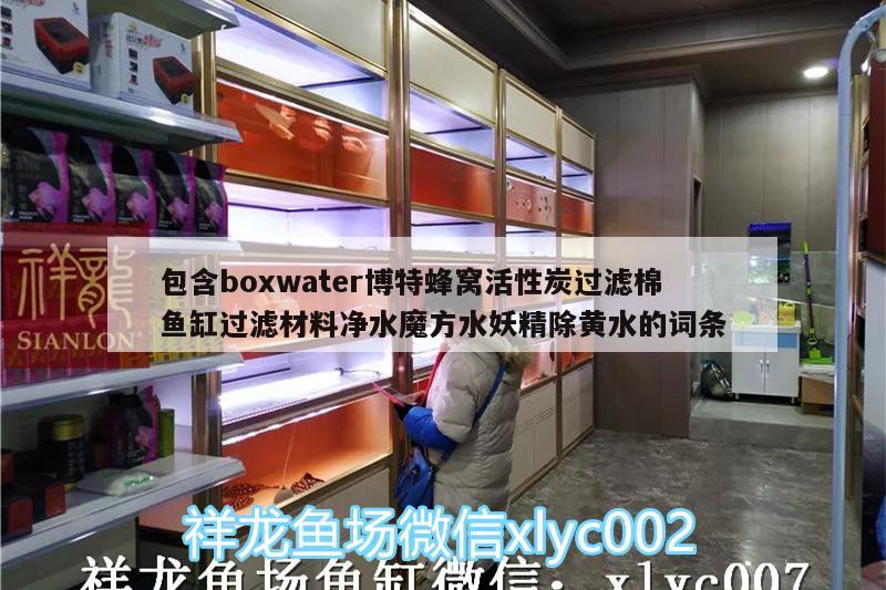 包含boxwater博特蜂窩活性炭過濾棉魚缸過濾材料凈水魔方水妖精除黃水的詞條