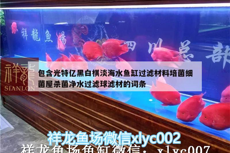 包含光特億黑白棋淡海水魚缸過(guò)濾材料培菌細(xì)菌屋殺菌凈水過(guò)濾球?yàn)V材的詞條