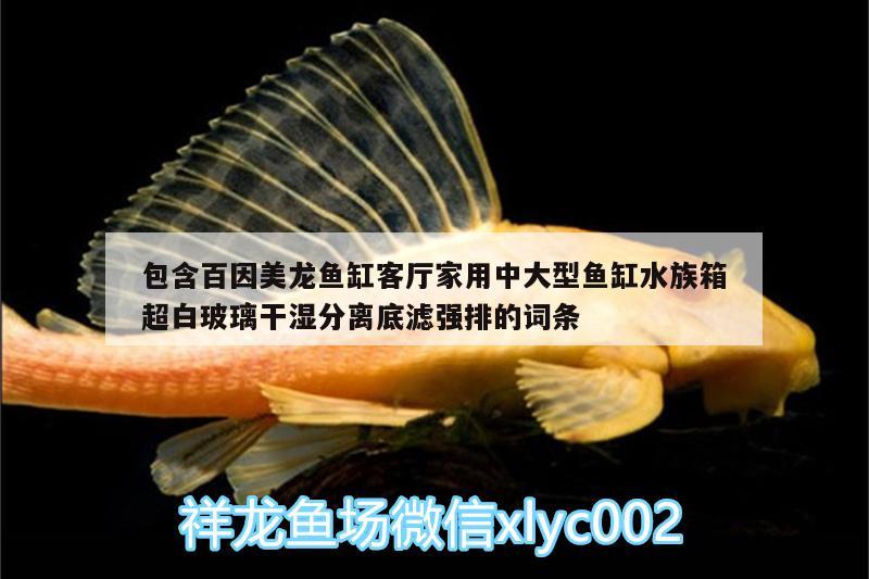 包含百因美龍魚缸客廳家用中大型魚缸水族箱超白玻璃干濕分離底濾強(qiáng)排的詞條