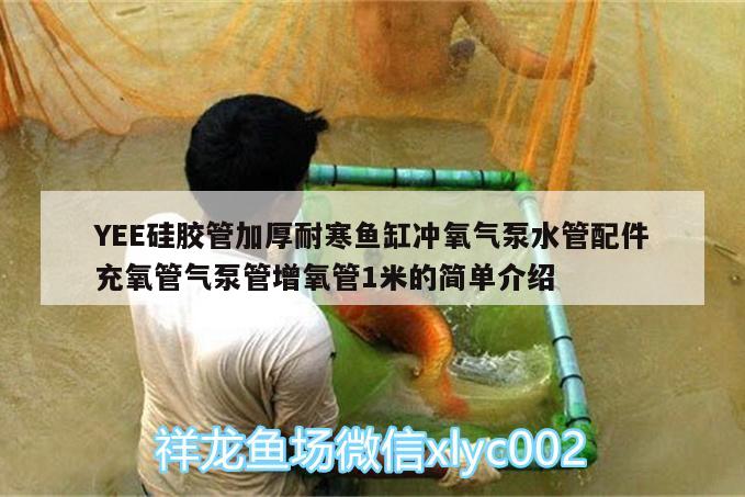 YEE硅膠管加厚耐寒魚(yú)缸沖氧氣泵水管配件充氧管氣泵管增氧管1米的簡(jiǎn)單介紹 yee