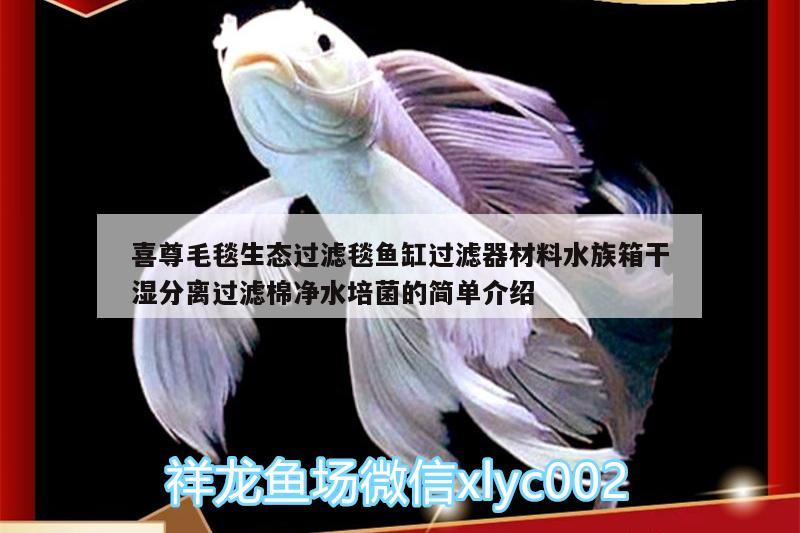 喜尊毛毯生態(tài)過濾毯魚缸過濾器材料水族箱干濕分離過濾棉凈水培菌的簡單介紹 魚缸/水族箱