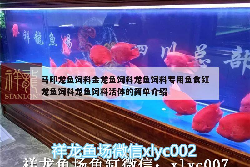 馬印龍魚飼料金龍魚飼料龍魚飼料專用魚食紅龍魚飼料龍魚飼料活體的簡單介紹 馬印水族