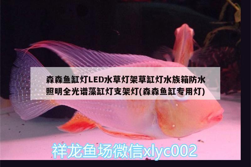 森森魚缸燈LED水草燈架草缸燈水族箱防水照明全光譜藻缸燈支架燈(森森魚缸專用燈)