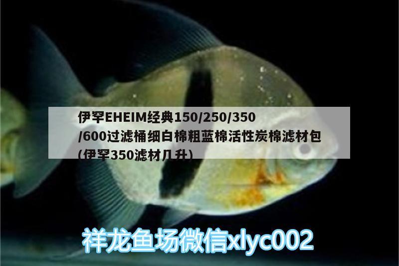 伊罕EHEIM經(jīng)典150/250/350/600過濾桶細(xì)白棉粗藍(lán)棉活性炭棉濾材包(伊罕350濾材幾升) 伊罕水族