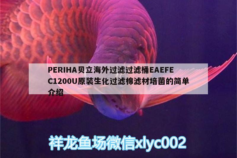 PERIHA貝立海外過濾過濾桶EAEFEC1200U原裝生化過濾棉濾材培菌的簡單介紹 垂釣樂園