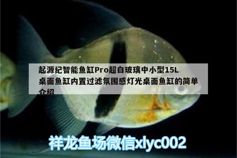 起源紀智能魚缸Pro超白玻璃中小型15L桌面魚缸內(nèi)置過濾氛圍感燈光桌面魚缸的簡單介紹 廣州水族器材濾材批發(fā)市場