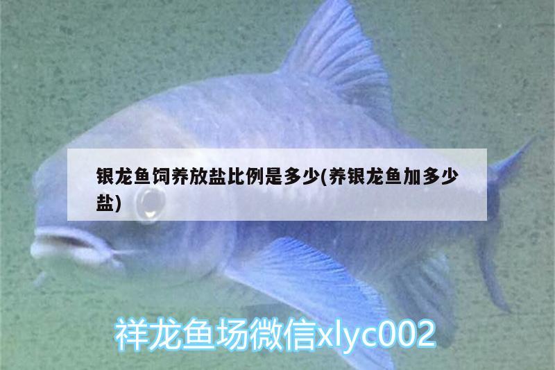 銀龍魚飼養(yǎng)放鹽比例是多少(養(yǎng)銀龍魚加多少鹽)