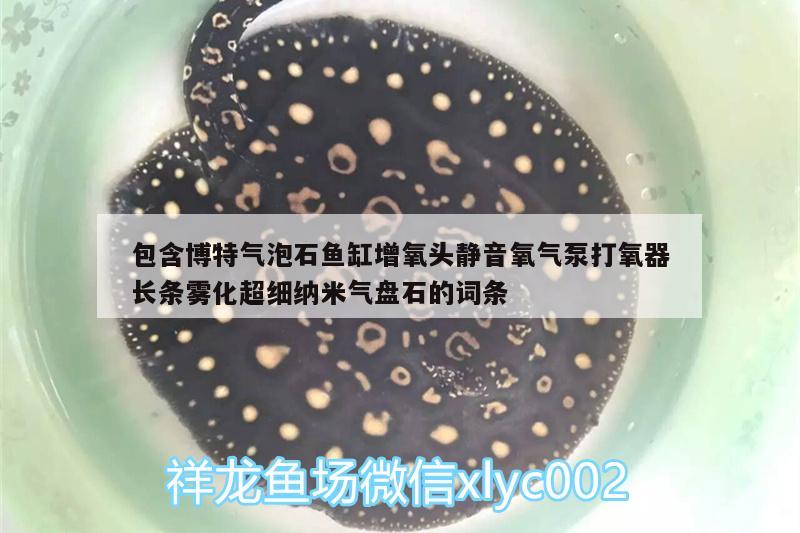 包含博特氣泡石魚缸增氧頭靜音氧氣泵打氧器長條霧化超細納米氣盤石的詞條 博特水族